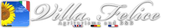 logo_villafelice_small