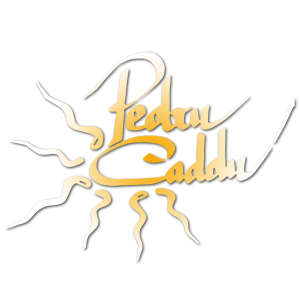 logopedrucaddu HD-1300